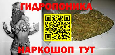 бошки Славянск-на-Кубани